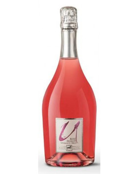 Tenuta Ulisse Spumant Rose Brut | Tenuta Ulisse | Italia